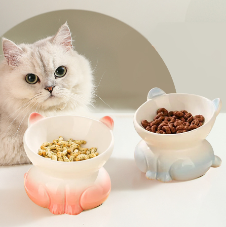 Ceramic Cat Food Bowls with spoon Rainbow gradient colors Small Pet Water Bowls